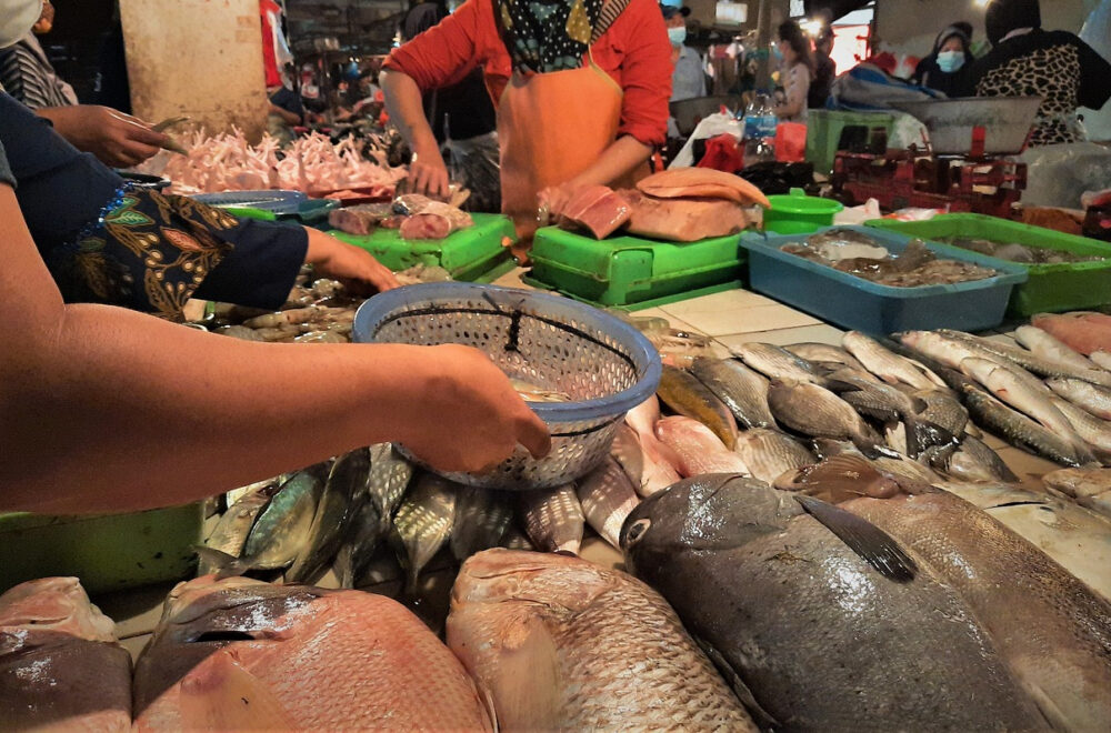 Brote bacteriano alarma Hong Kong: El peligro acecha en los mercados de pescado