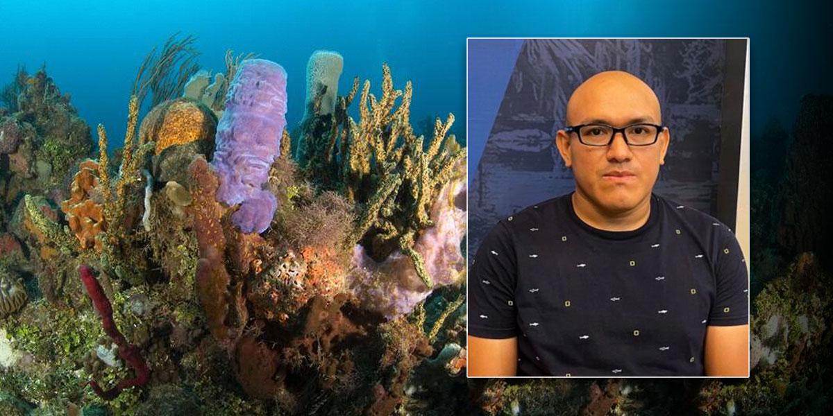 Biólogo de Yucatán descubre en esponjas marinas fármacos contra el Covid-19