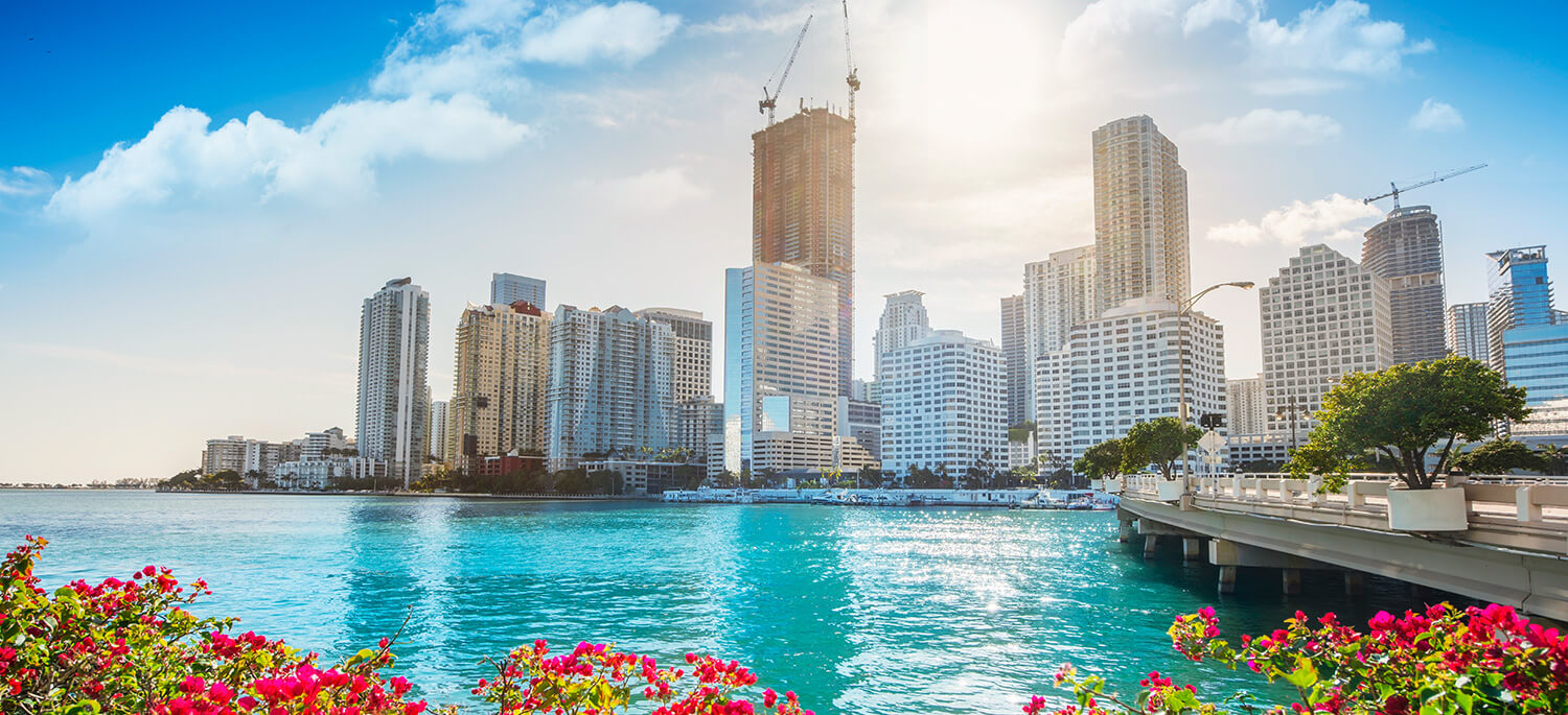 Manual para vivir en Miami siendo latino