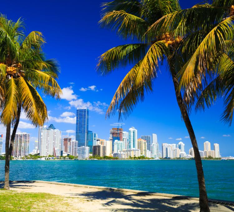Cuáles son los mejores lugares de residencia para inmigrantes en Florida