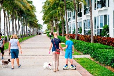 ¡Alerta! Una enfermedad altamente contagiosa para perros se propaga en Miami-Dade
