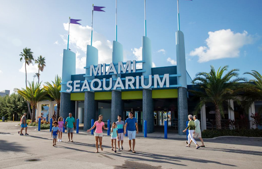 Miami Seaquarium en riesgo de cerrar por pagos atrasados y maltrato animal