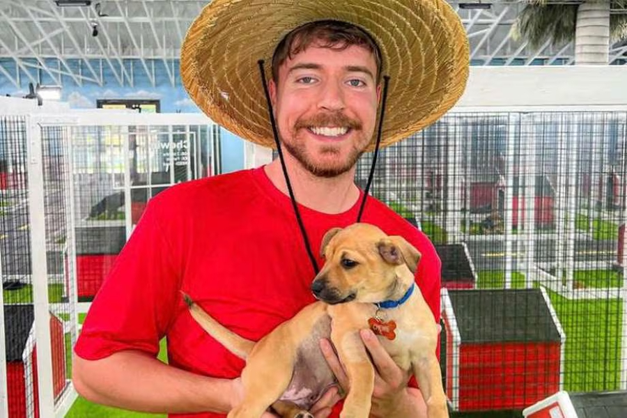 MrBeast rescató 100 perritos de la calle en Florida y encontró hogar para todos