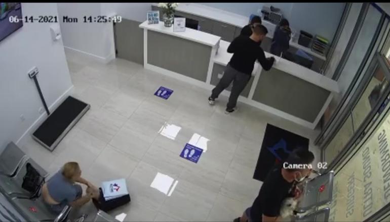 Mujer se roba a un cachorro en clínica veterinaria de Miami