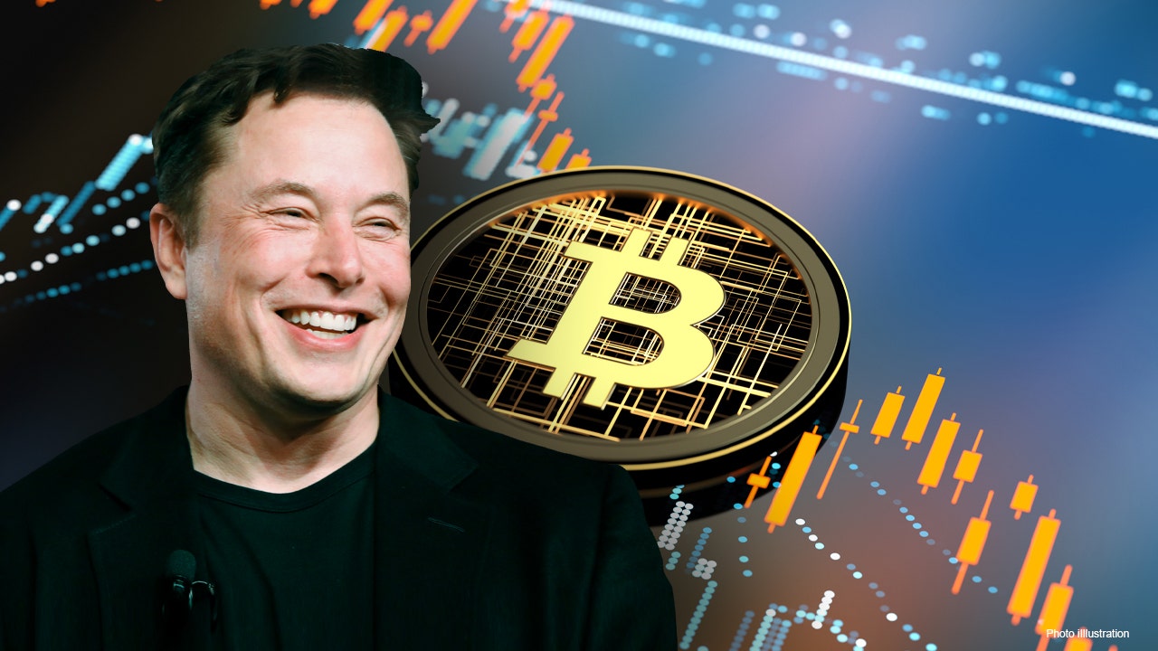 ¡Los tiene locos! Elon Musk volvió a impactar el mercado del bitcoin con un tuit