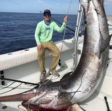 ¡Sensacional! Atrapado un inmenso pez espada de 343 kilos