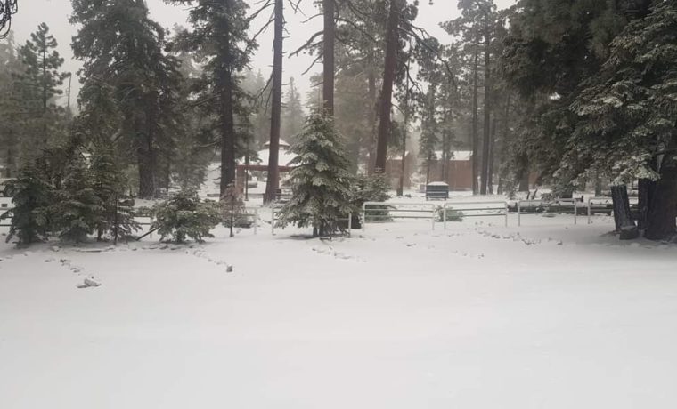 Tormenta invernal en EEUU: a cuáles estados afectará y previsiones a tomar
