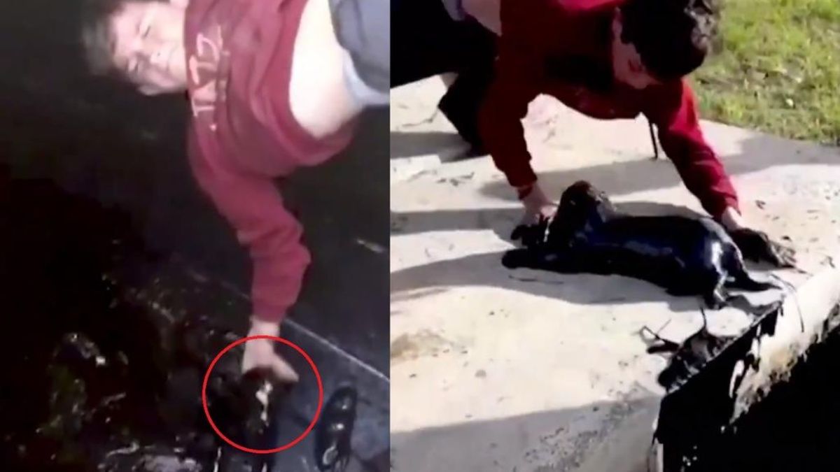 Niño de 10 años arriesga su vida y salva a cachorro que se ahohaba en un pozo de petróleo (VIDEO)