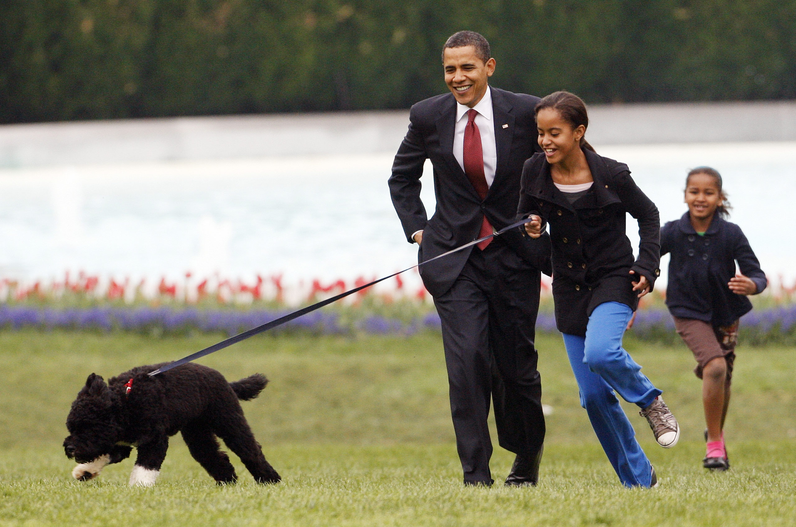 Adiós a Bo, la emotiva carta con la que los Obama anunciaron la muerte de su perrito