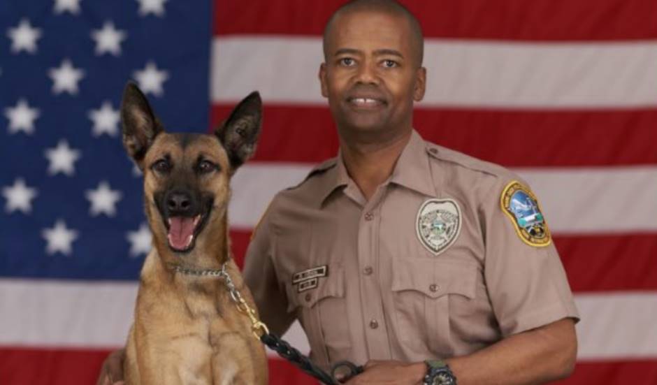 Zita, oficial canina de Miami-Dade fallece tras colapso en el aeropuerto