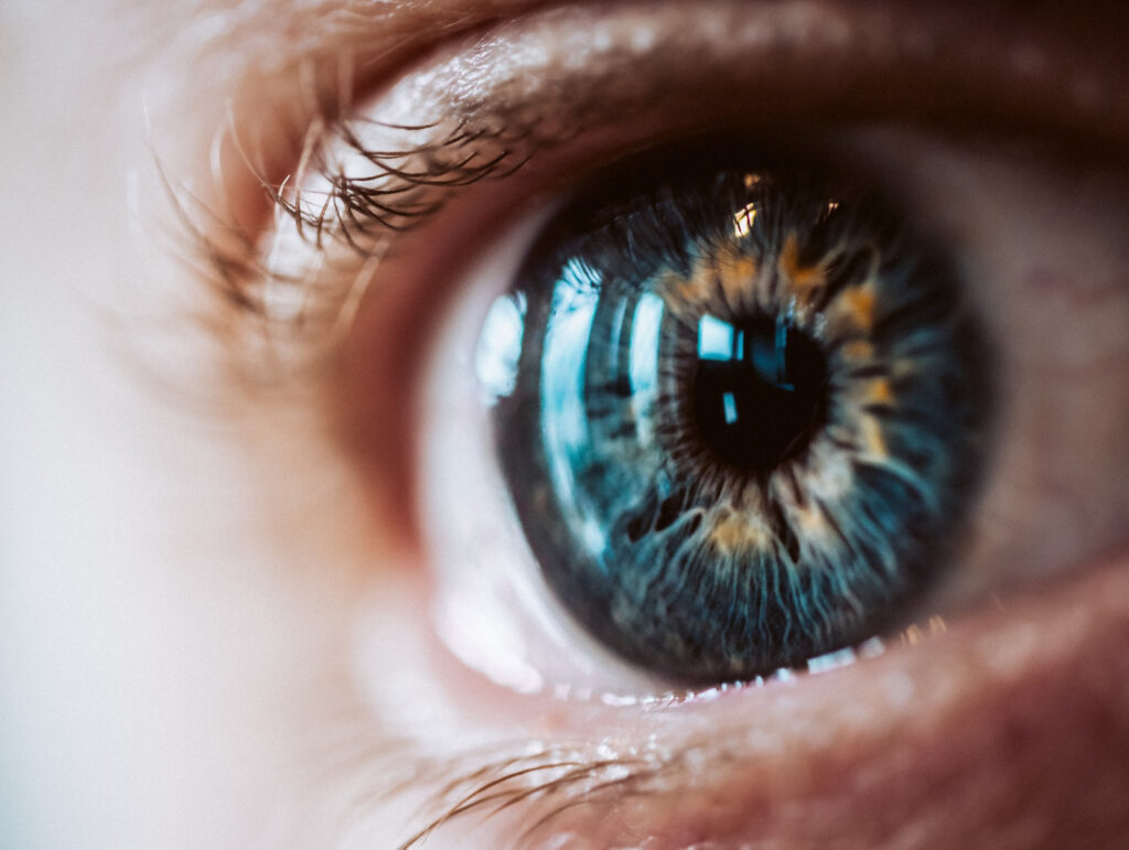 ojo córnea salud visual