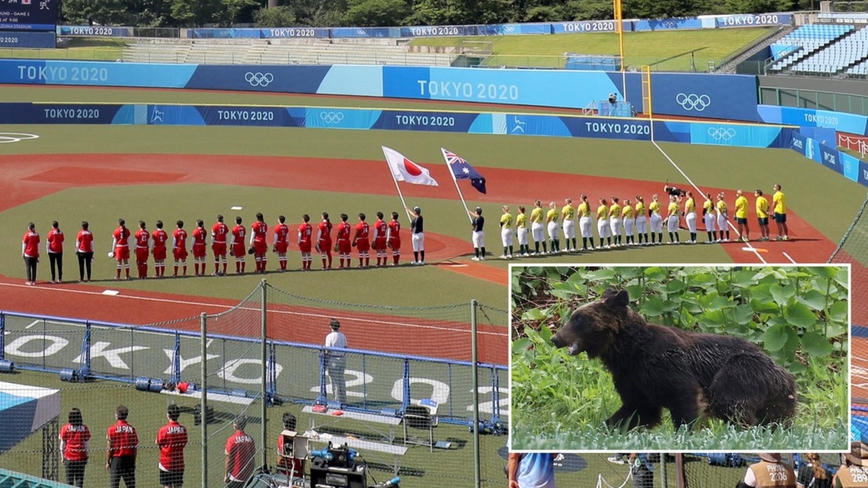 Un oso anda suelto cerca del estadio de softbol de los Juegos Olímpicos