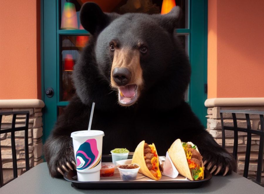 No se resistió: Enorme oso robó pedido de Taco Bell a una familia en Orlando