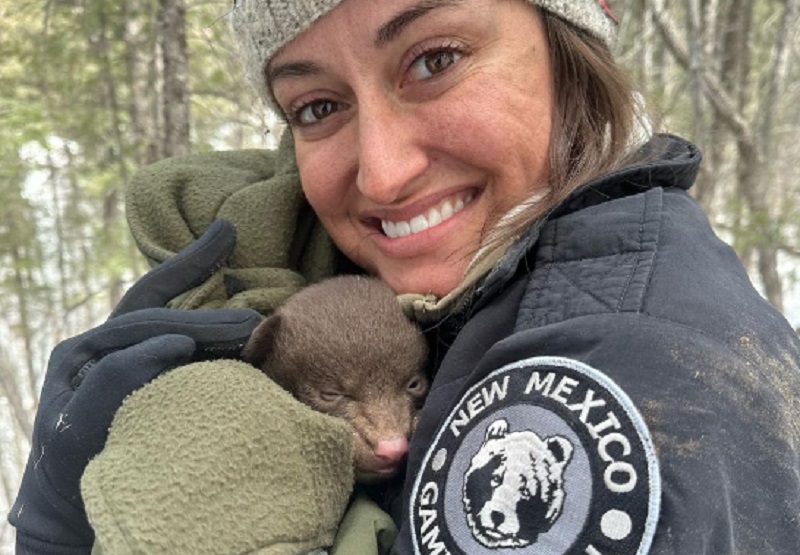 Conviértete en abrazador de osos profesional: el trabajo más adorable de todos