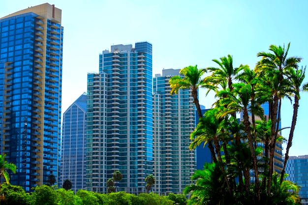 Miami clima