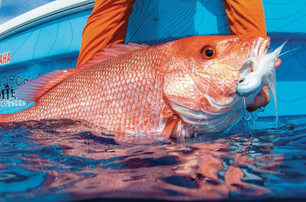 DeSantis quiere que Florida controle la pesca del pargo rojo en toda la costa