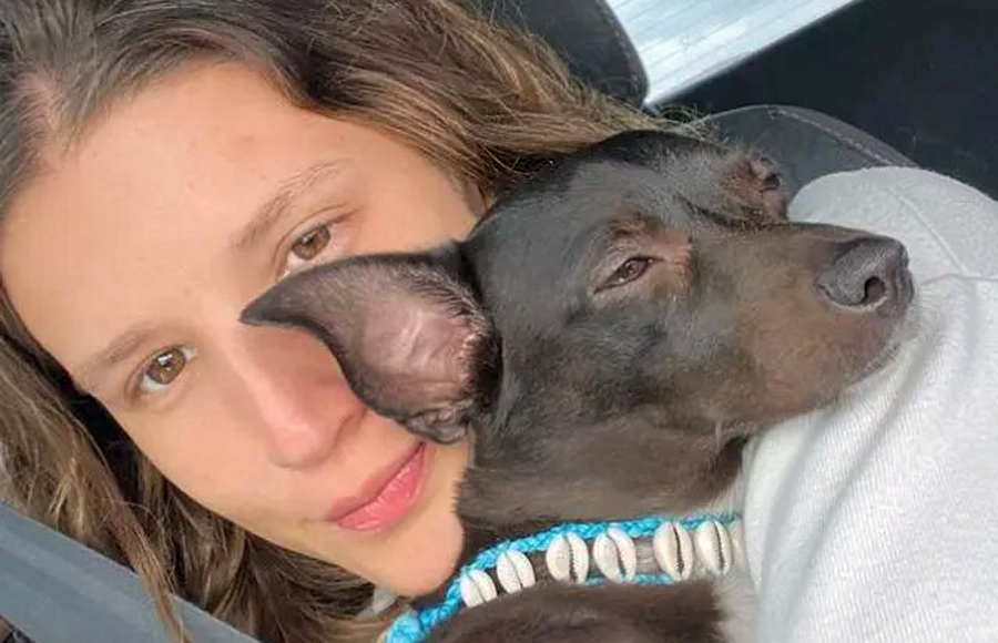 Delta Air Lines perdió mascota de pasajera que fue deportada de EE.UU
