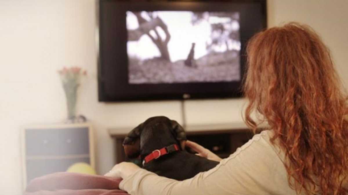 ¿Se puede aprender un idioma mirando películas subtituladas?