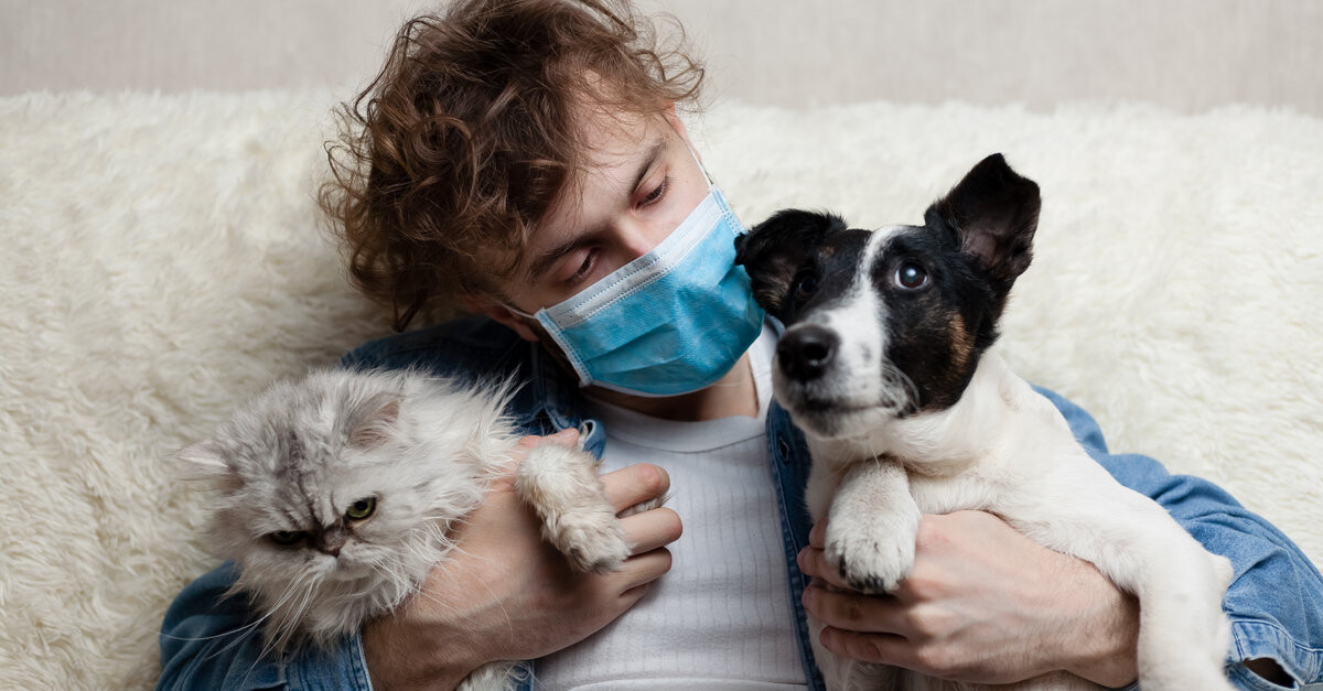 Perros y gatos pueden contraer Covid dicen veterinarios de Florida