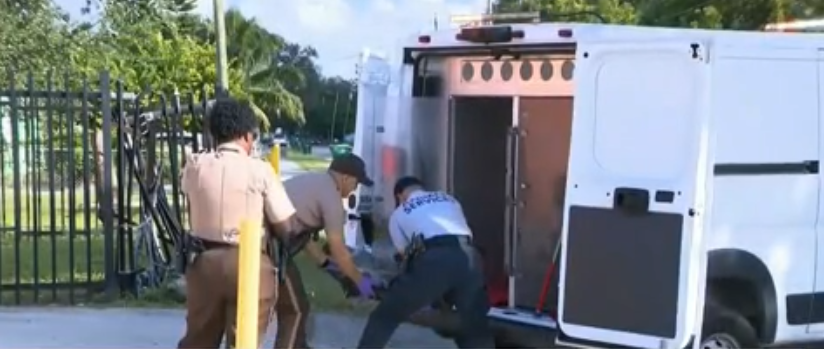 Encuentran perro calcinado dentro de una caja en Miami-Dade