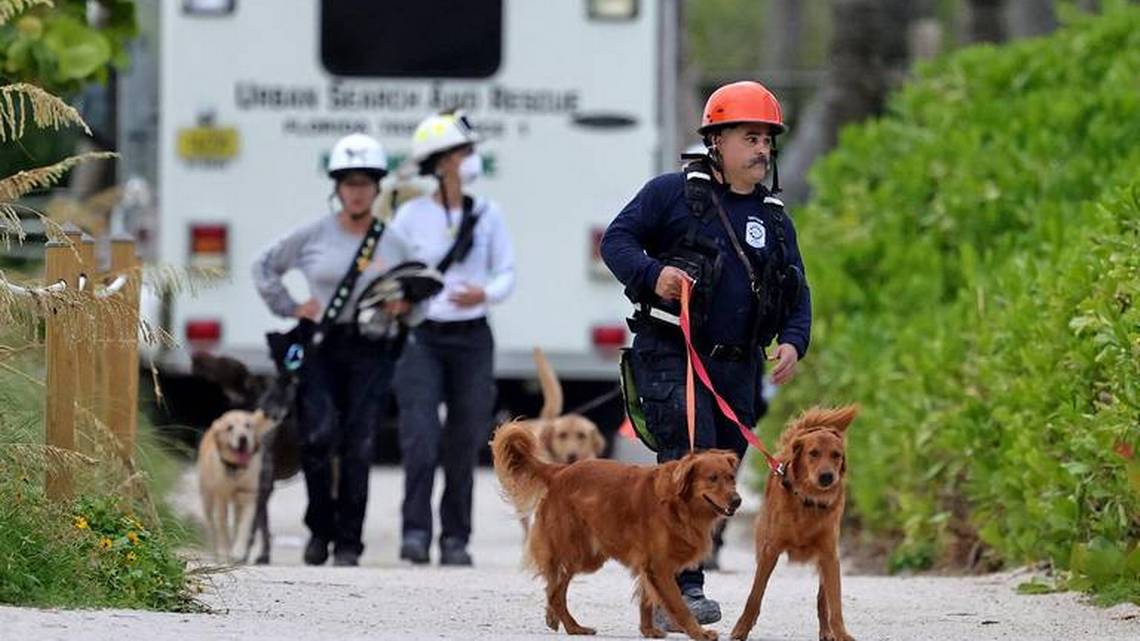 ¿Cuáles son las labores de los perros rescatistas en el edificio colapsado en Miami? 
