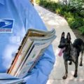 Los perros y los carteros no se llevan bien en Miami: informe de USPS lo confirma