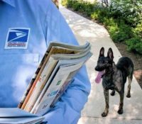 Los perros y los carteros no se llevan bien en Miami: informe de USPS lo confirma