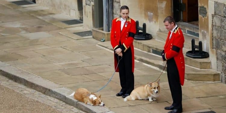 Las mascotas de Isabel II también dijeron presente en su último adiós este lunes
