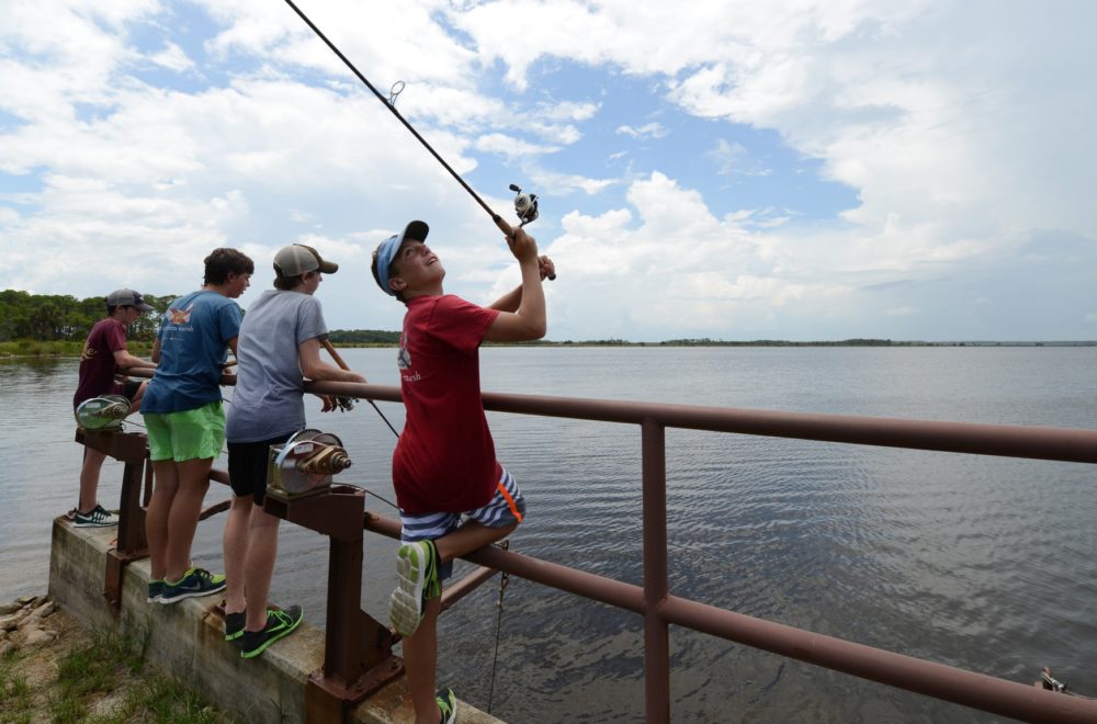 Florida al alcance de todos: Visita los parques estatales y ríos a mitad de precio