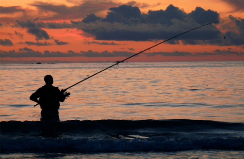 ¡Labor day! Este sábado puede pescar sin licencia en Florida