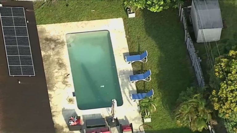 Niños hallados inconscientes en piscina de Hollywood mueren tras pasar días hospitalizados