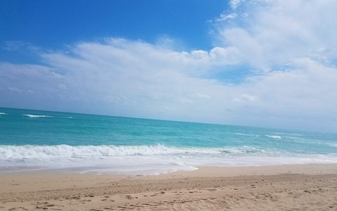 Esta playa de Miami Beach recibió recomendación de no nadar en ella