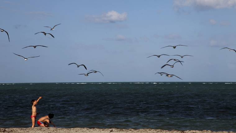 Miami-Dade emitió avisos de precaución por contaminación para dos de sus playas