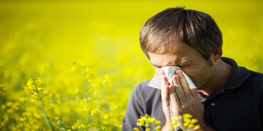 ¡A cuidarse de las alergias! Recuento de polen seguirá aumentando a medida que se acerque la semana más calurosa del año