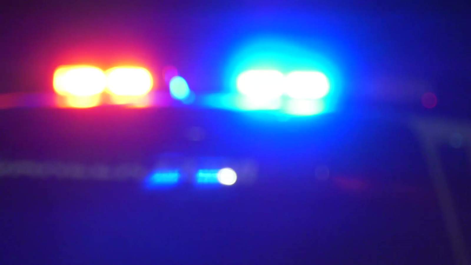 Arrestan a presunta ladrona de autos en el Condado de Lee