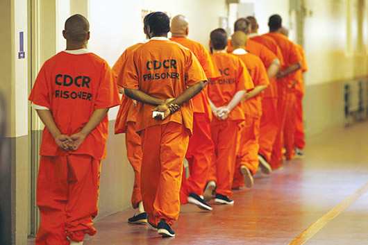 Liberaron 462 presos en un sólo día en EEUU
