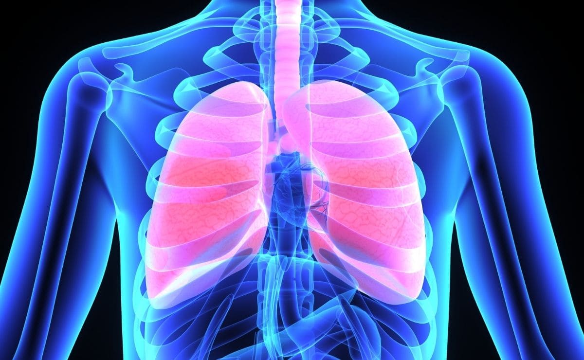 ¿Cómo saber si tengo pulmones saludables? Acá te lo explicamos