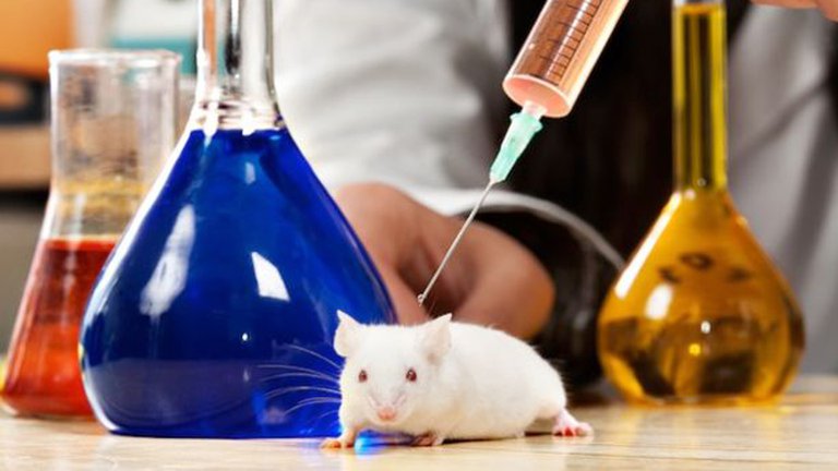 Científicos erradicaron el cáncer con metástasis en ratones y perros