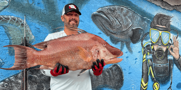 Florida tiene nuevo récord de pesca en agua salada