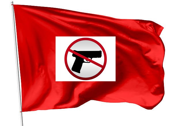 Control de armas “red flag” en Florida ¿Cómo funciona?