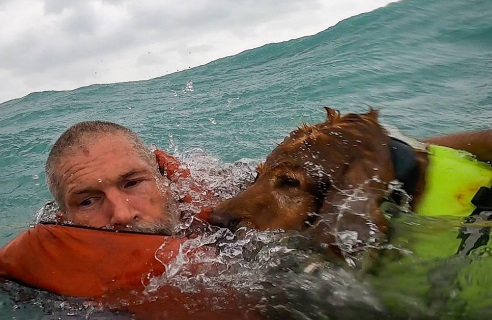 Un hombre y su perro a salvo tras heroico rescate de la Guardia Costera en Sanibel Island