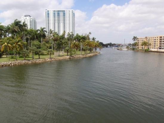 ¡No más contaminación! Kiki on the River organizó limpieza al río Miami