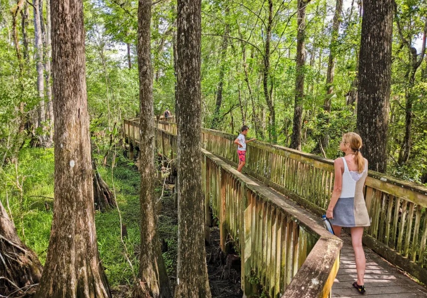 Explora el lado más natural de Miami: 6 lugares para hacer senderismo
