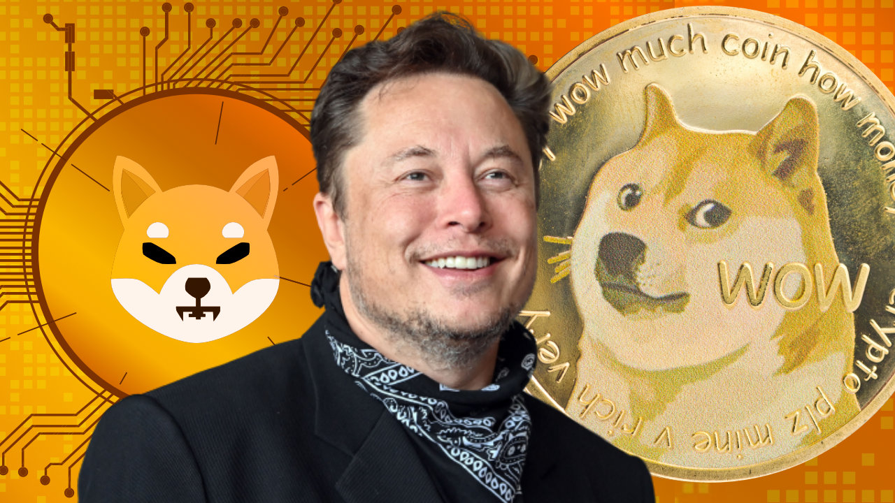 Shiba Inu cae 6% tras revelación de Elon Musk