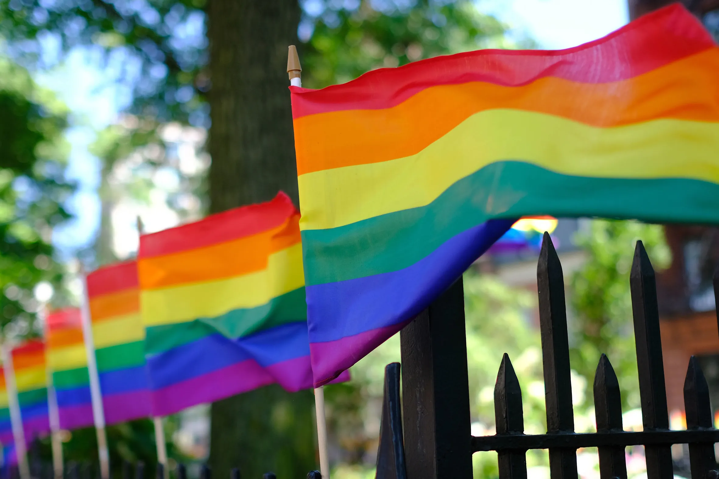 ¿Por qué los LGBTQ+ tienen que ver en suspensión de viajes Los Ángeles-Florida?