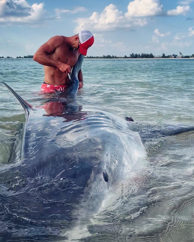 ¡Para salvarlo! Pescador atrapó el tiburón tigre más grande su vida