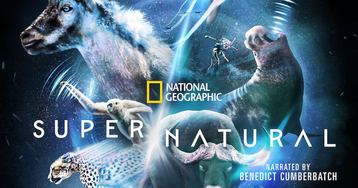 James Cameron regresa a la Tierra antes del lanzar el nuevo ‘Avatar’