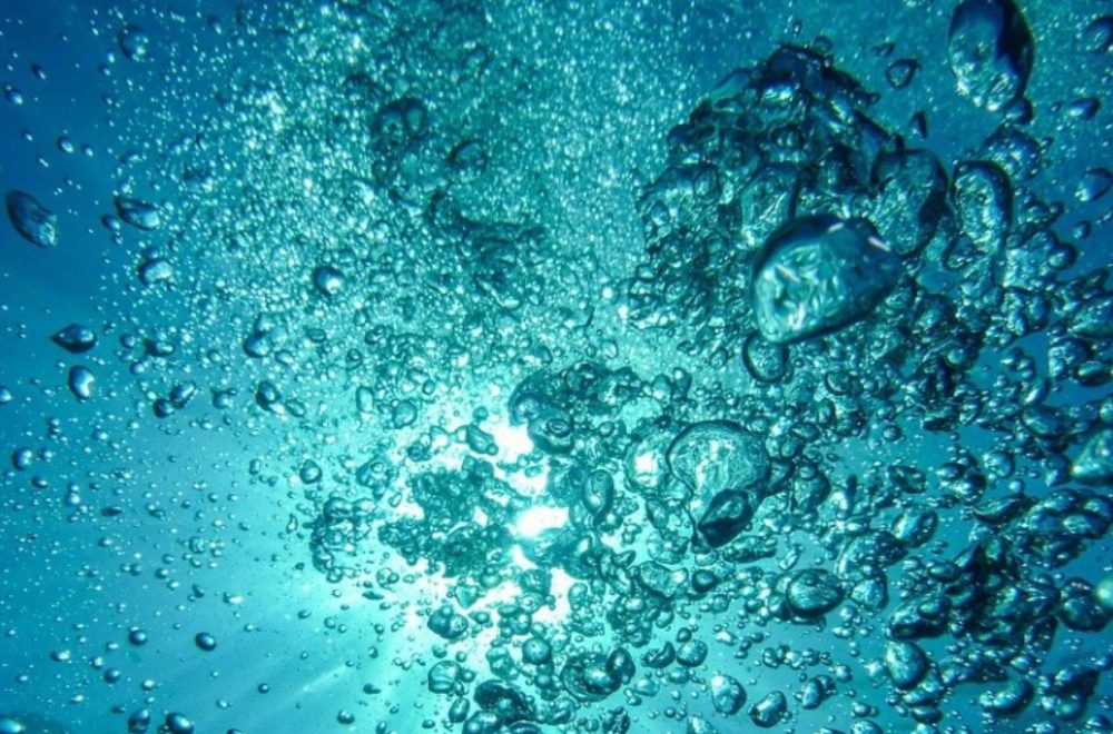 Calor de Florida aumentó la temperatura oceánica; científicos advierten consecuencias