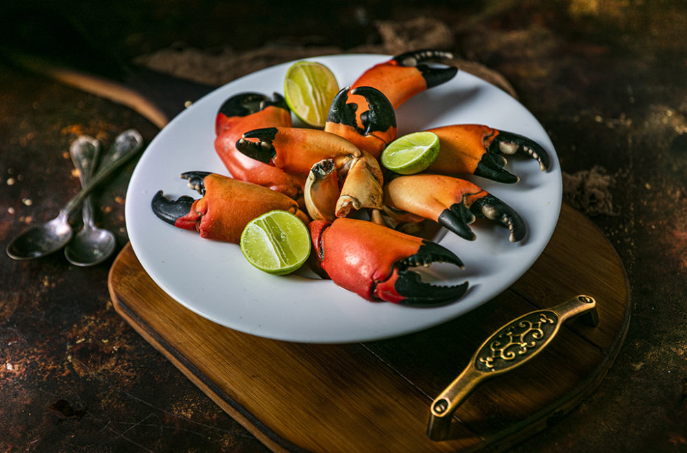 Celebra la temporada de cangrejo moro en Florida con estas recetas fáciles y deliciosas