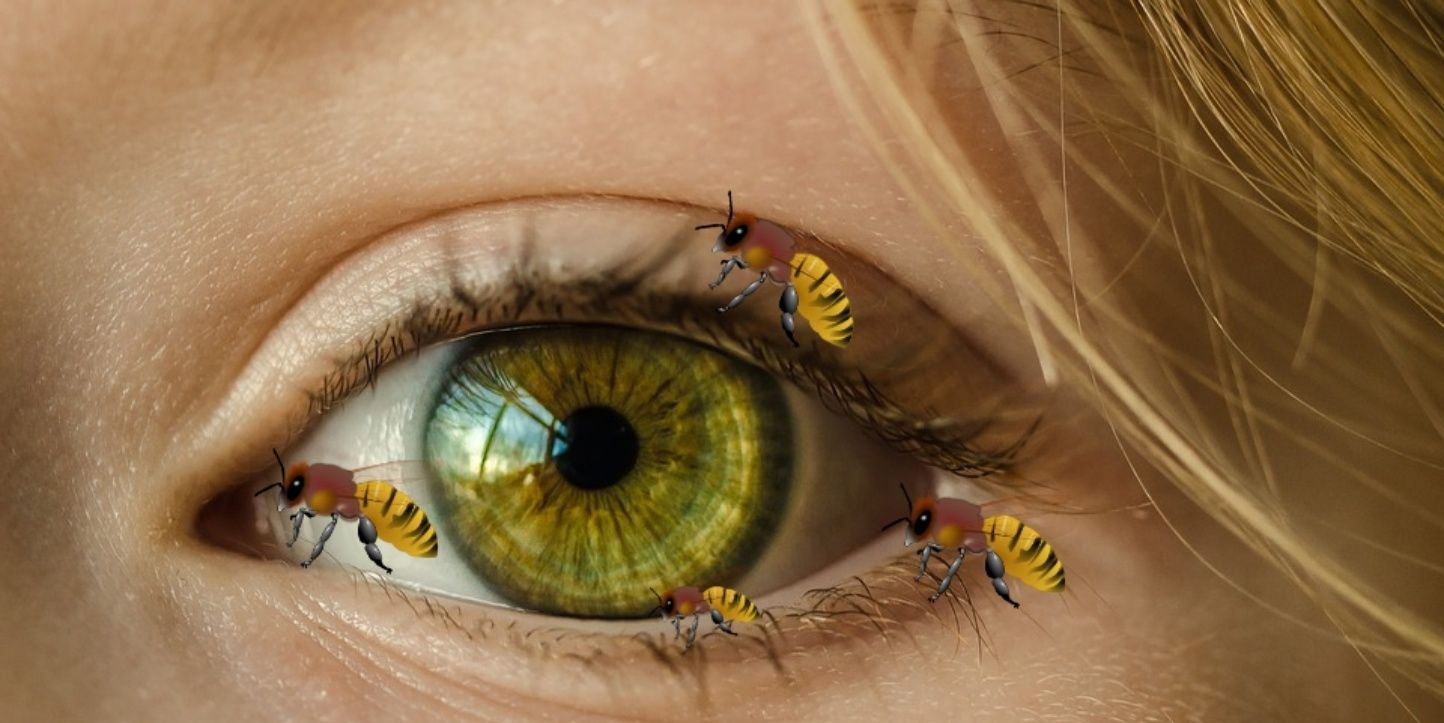 ¡Rareza! Médicos descubren 4 abejas vivas en su párpado de una mujer
